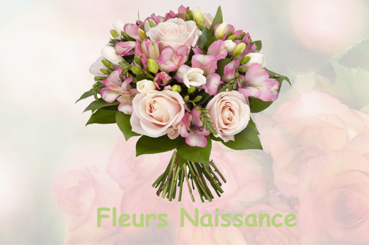 fleurs naissance FONTENAY-PRES-CHABLIS